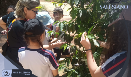 PASSEIO CULTURAL – FAZENDA DO CAFÉ